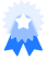 A imagem contém um ícone de medalha azul e branca com uma estrela no centro.